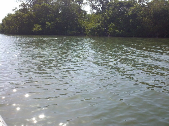 Picture